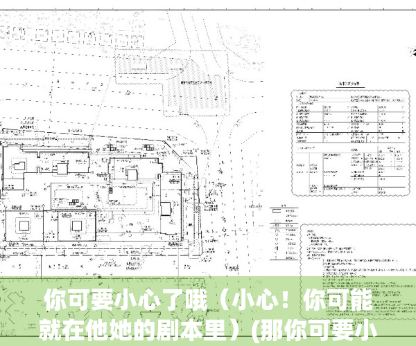 你可要小心了哦（小心！你可能就在他她的剧本里）(那你可要小心了)