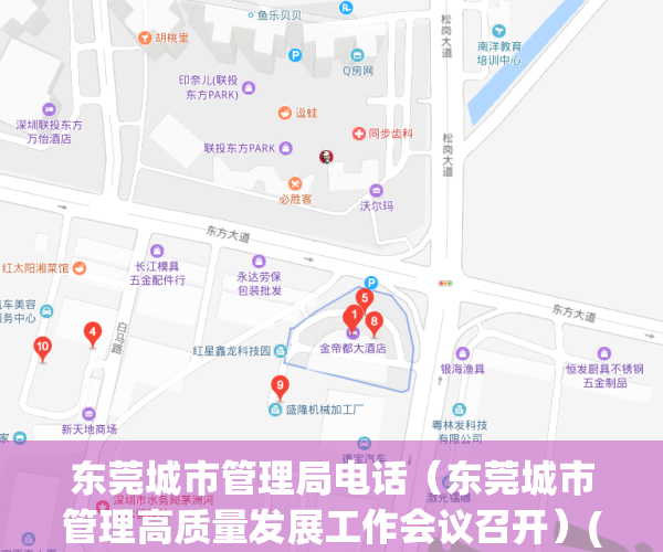 东莞城市管理局电话（东莞城市管理高质量发展工作会议召开）(东莞市城市管理委员会办公室)