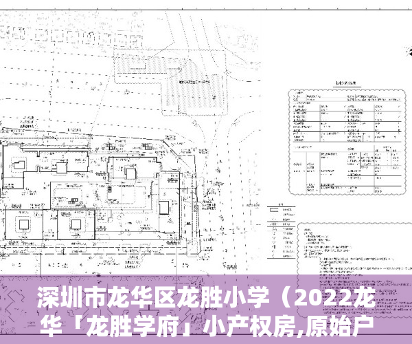 深圳市龙华区龙胜小学（2022龙华「龙胜学府」小产权房,原始户型,精装修,可落深户）