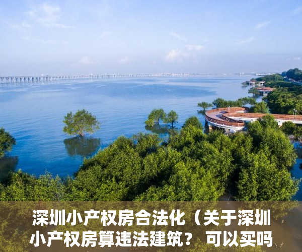 深圳小产权房合法化（关于深圳小产权房算违法建筑？ 可以买吗？）