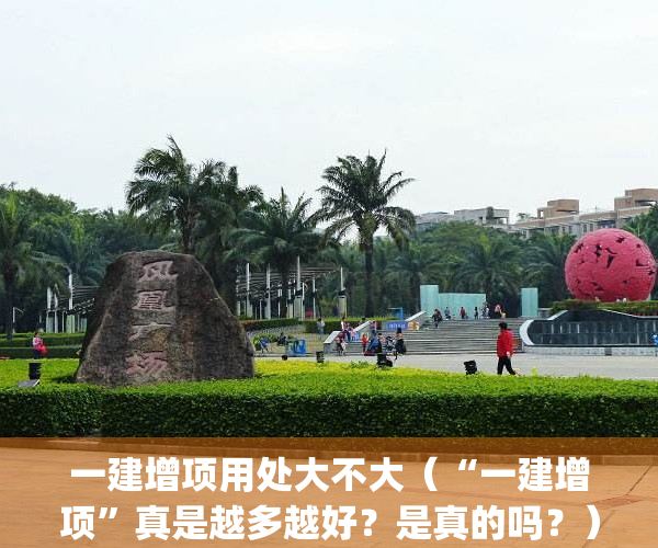 一建增项用处大不大（“一建增项”真是越多越好？是真的吗？）(一建增项有什么用)