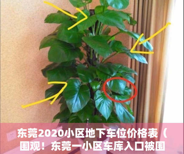 东莞2020小区地下车位价格表（围观！东莞一小区车库入口被围蔽，住户开车回家要交“过路费”……）