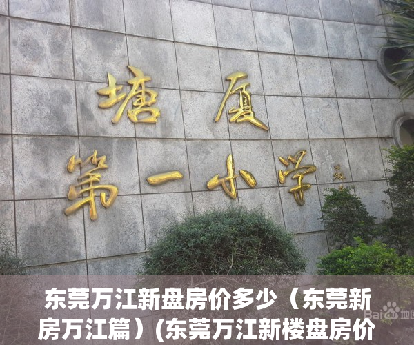 东莞万江新盘房价多少（东莞新房万江篇）(东莞万江新楼盘房价)