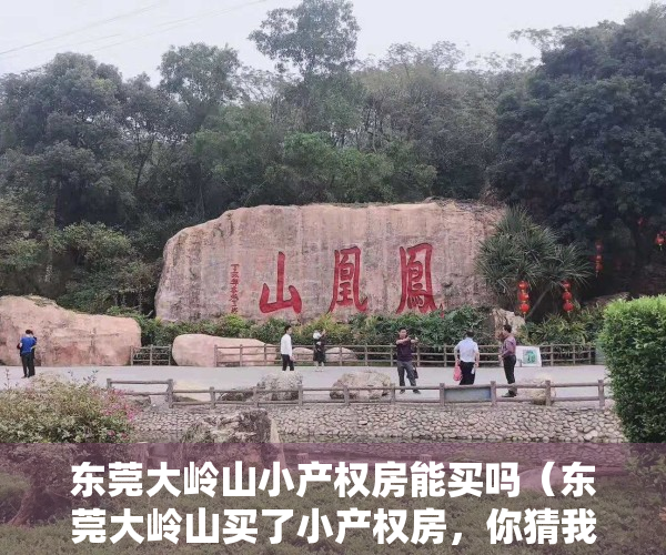 东莞大岭山小产权房能买吗（东莞大岭山买了小产权房，你猜我多少钱买的？）