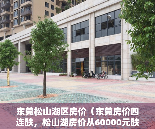 东莞松山湖区房价（东莞房价四连跌，松山湖房价从60000元跌到40000元一平）