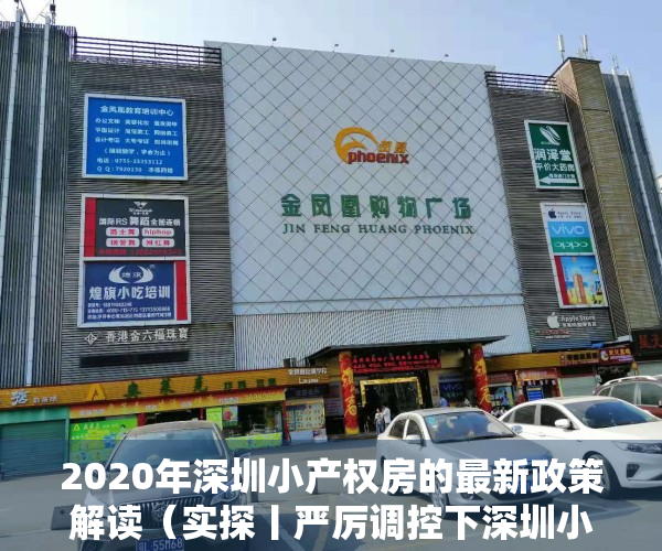 2020年深圳小产权房的最新政策解读（实探丨严厉调控下深圳小产权房火了，不按面积按套卖，涨幅大风险也大！）