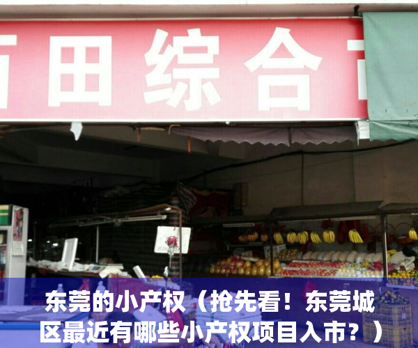 东莞的小产权（抢先看！东莞城区最近有哪些小产权项目入市？）(最全东莞小产权)