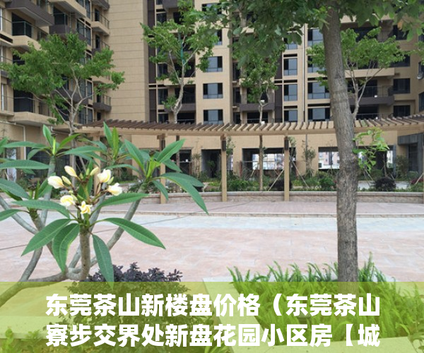 东莞茶山新楼盘价格（东莞茶山寮步交界处新盘花园小区房【城市花园】寒溪水5栋小产权房 带地下停车场 天然气入户 茶山中心小学旁村委统建楼发绿本）