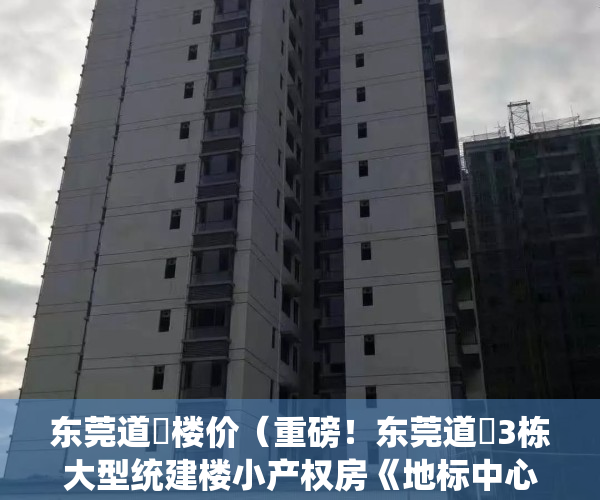 东莞道滘楼价（重磅！东莞道滘3栋大型统建楼小产权房《地标中心广场》首付三成9万安家，银行分期八年，自带空中花园和停车场，道滘高品质小产权房出售）