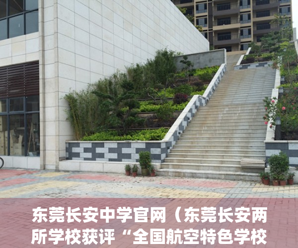 东莞长安中学官网（东莞长安两所学校获评“全国航空特色学校”）(东莞长安中学简介)