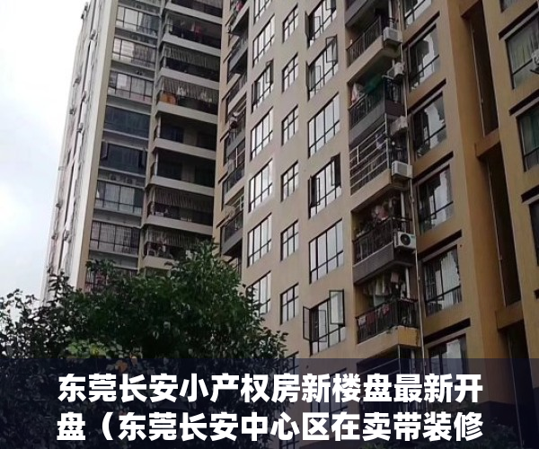 东莞长安小产权房新楼盘最新开盘（东莞长安中心区在卖带装修统建楼小产权房出售长安新安社区在卖集资自建小产权房出售长安中心区带装修统建楼小产权房出售）