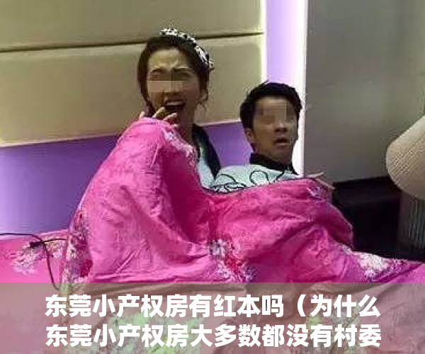 东莞小产权房有红本吗（为什么东莞小产权房大多数都没有村委盖章？）