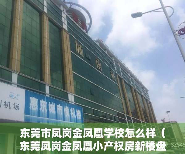 东莞市凤岗金凤凰学校怎么样（东莞凤岗金凤凰小产权房新楼盘出售【东凤豪庭】70年产权合作建房，证件齐全，律师见证 安全保障 ，十分钟到龙岗 五分钟上高速！）