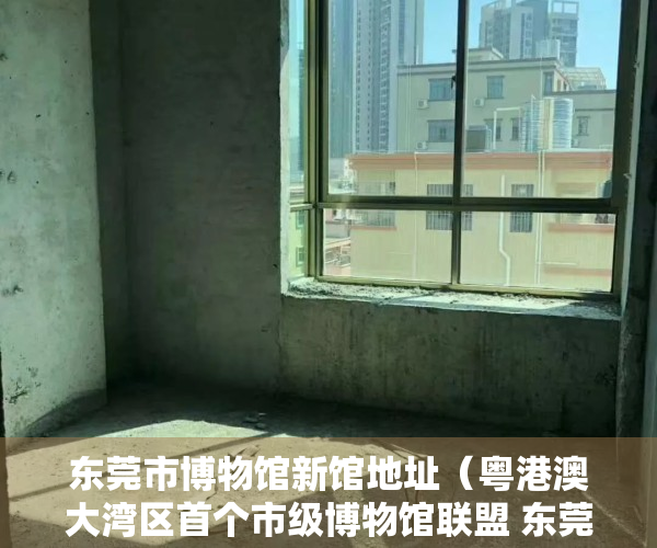 东莞市博物馆新馆地址（粤港澳大湾区首个市级博物馆联盟 东莞博物馆联盟揭牌成立）