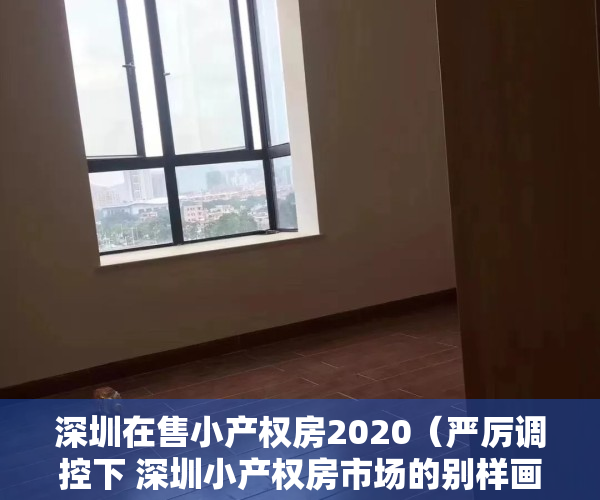 深圳在售小产权房2020（严厉调控下 深圳小产权房市场的别样画面）