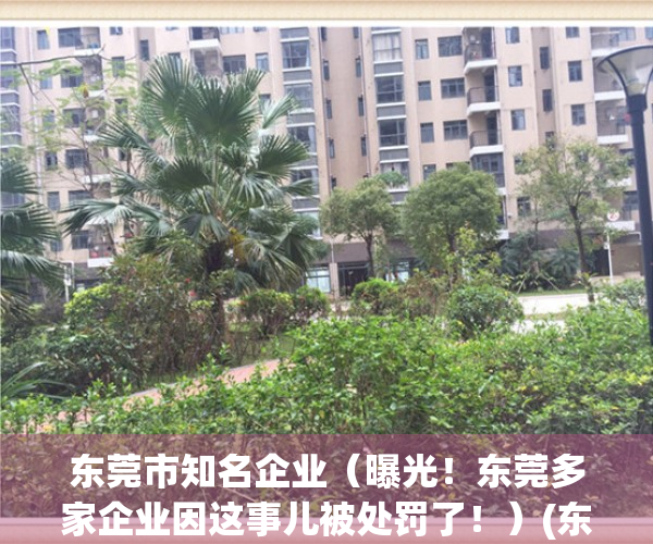 东莞市知名企业（曝光！东莞多家企业因这事儿被处罚了！）(东莞企业名单大全)