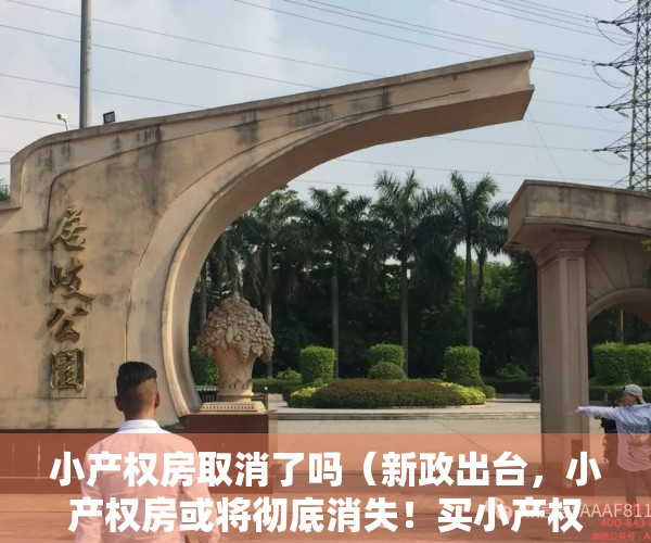 小产权房取消了吗（新政出台，小产权房或将彻底消失！买小产权房的朋友一定要知道！）