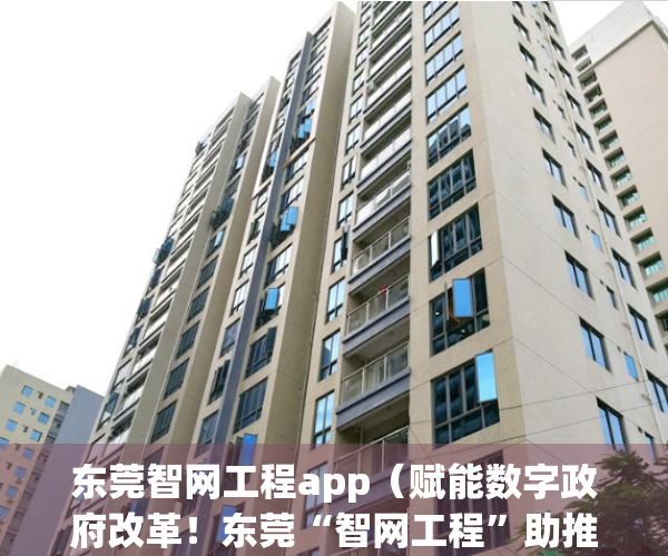 东莞智网工程app（赋能数字政府改革！东莞“智网工程”助推社会治理效能“满格”）