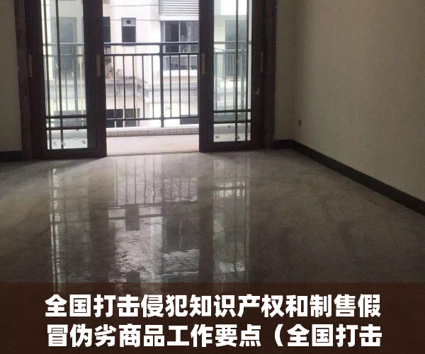 全国打击侵犯知识产权和制售假冒伪劣商品工作要点（全国打击侵权假冒工作领导小组办公室发布《中国知识产权保护与营商环境新进展报告（2021）》）