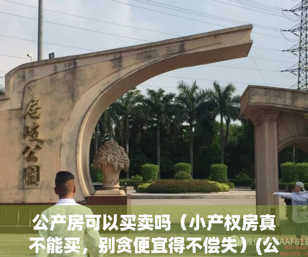 公产房可以买卖吗（小产权房真不能买，别贪便宜得不偿失）(公房是小产权房 可以购买吗)