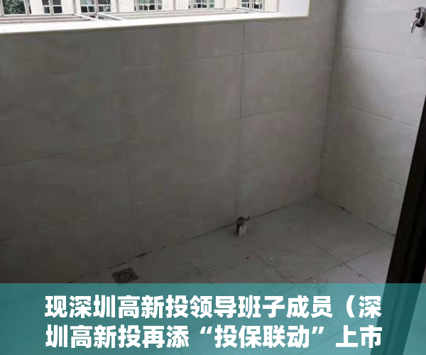 现深圳高新投领导班子成员（深圳高新投再添“投保联动”上市案例：“小巨人”凌雄科技港交所主板上市）