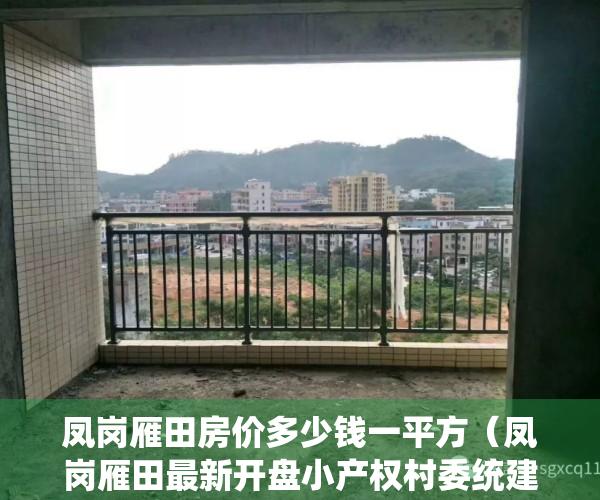 凤岗雁田房价多少钱一平方（凤岗雁田最新开盘小产权村委统建楼《雁田-龙平府》距离深圳平湖一路之隔《雁田-龙平府》凤岗汽车站200米  《雁田-龙平府》）