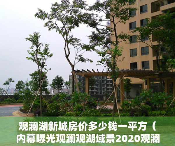 观澜湖新城房价多少钱一平方（内幕曝光观澜观湖域景2020观澜新田小产权观澜观湖域景楼盘地址）