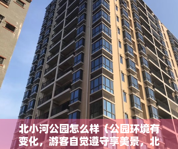 北小河公园怎么样（公园环境有变化，游客自觉遵守享美景，北小河望和两公园谢谢居民朋友）