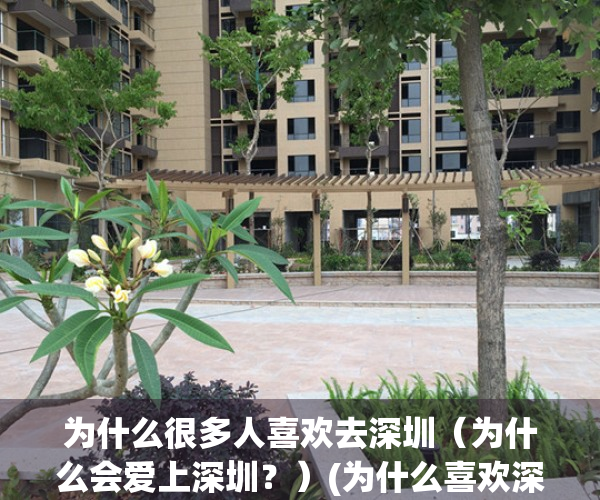 为什么很多人喜欢去深圳（为什么会爱上深圳？）(为什么喜欢深圳这个城市)