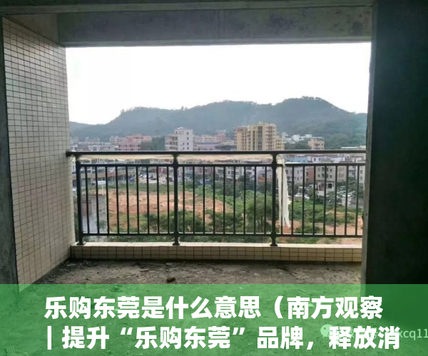 乐购东莞是什么意思（南方观察｜提升“乐购东莞”品牌，释放消费新动能）