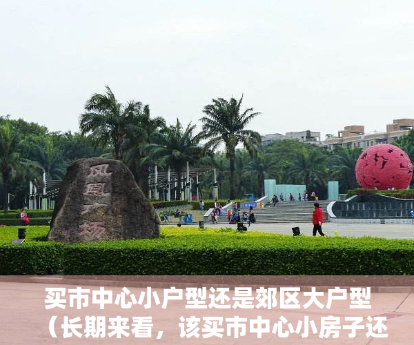 买市中心小户型还是郊区大户型（长期来看，该买市中心小房子还是郊区大房子）