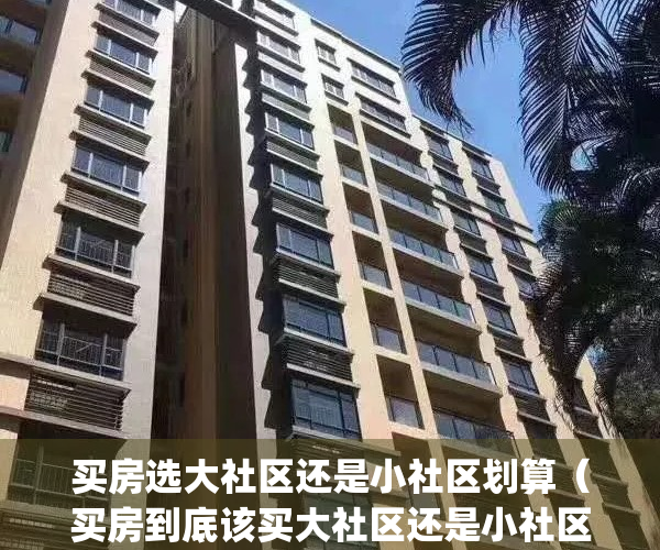 买房选大社区还是小社区划算（买房到底该买大社区还是小社区）(买房小社区好还是大社区好)