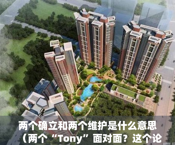 两个确立和两个维护是什么意思（两个“Tony”面对面？这个论坛上，靠谱青年“店小二”分享助企服务故事）