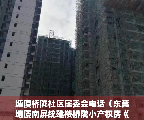 塘厦桥陇社区居委会电话（东莞塘厦南屏统建楼桥陇小产权房《桥陇新城》楼下就是商场 双高速出口 带停车场 总价268万起环境最好 正规报建 最新开盘首付低）