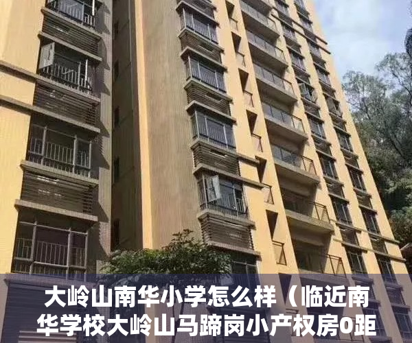 大岭山南华小学怎么样（临近南华学校大岭山马蹄岗小产权房0距离松山湖 带停车场 首付8万起）