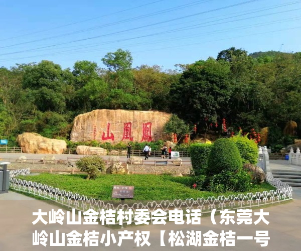 大岭山金桔村委会电话（东莞大岭山金桔小产权【松湖金桔一号】双地铁口物业 均价4800起 带精装 松山湖华为总部基地附近在卖统建楼小产权房）