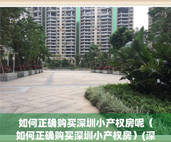 如何正确购买深圳小产权房呢（如何正确购买深圳小产权房）(深圳怎么买小产权房)