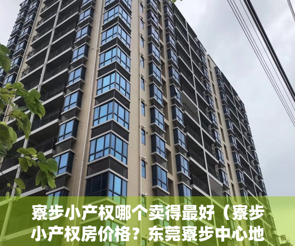 寮步小产权哪个卖得最好（寮步小产权房价格？东莞寮步中心地段小产权房统建楼《时代湾畔》 均价4680元㎡出售，双阳台户型 可分期5年，永久性产权宅基地）