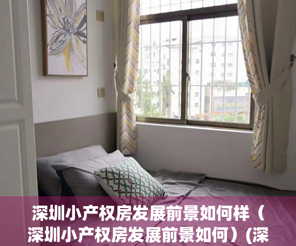 深圳小产权房发展前景如何样（深圳小产权房发展前景如何）(深圳小产权未来发展)