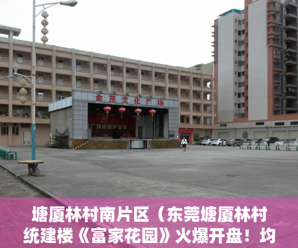 塘厦林村南片区（东莞塘厦林村统建楼《富家花园》火爆开盘！均价4380元起）