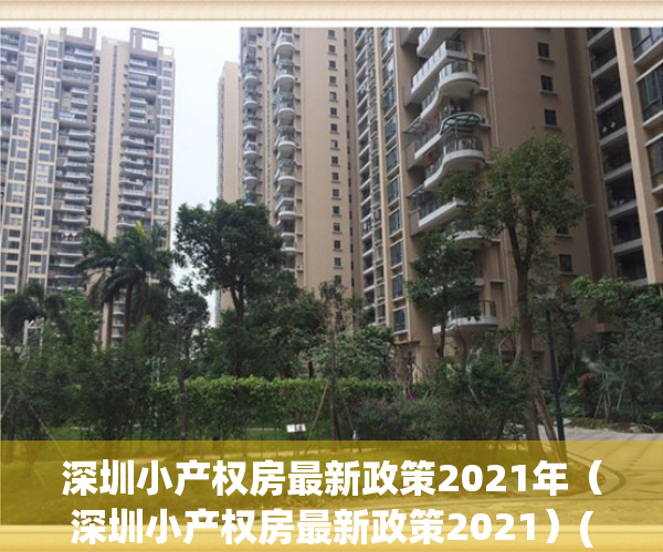 深圳小产权房最新政策2021年（深圳小产权房最新政策2021）(深圳小产权房最新政策出台)