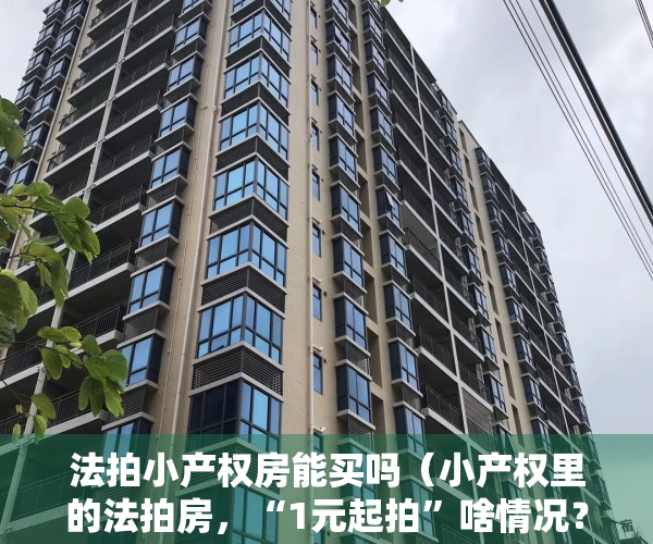 法拍小产权房能买吗（小产权里的法拍房，“1元起拍”啥情况？没那么容易捡到“便宜”）