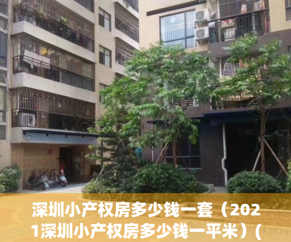 深圳小产权房多少钱一套（2021深圳小产权房多少钱一平米）(深圳小产权多少钱一平方)