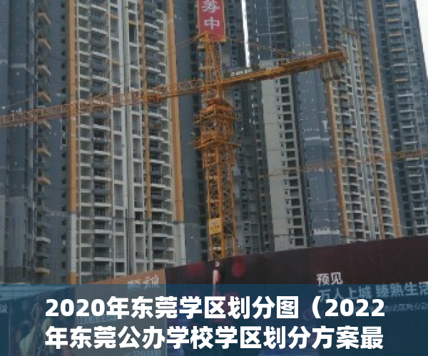 2020年东莞学区划分图（2022年东莞公办学校学区划分方案最新整理，你家划在哪个学区？）