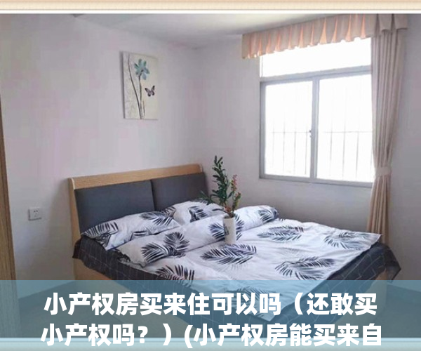 小产权房买来住可以吗（还敢买小产权吗？）(小产权房能买来自己住吗?)