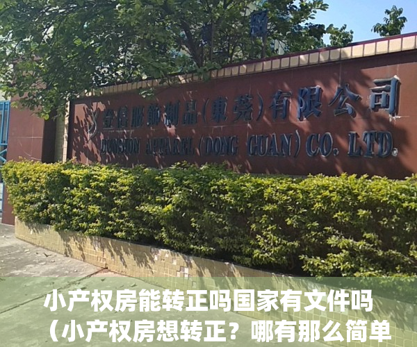 小产权房能转正吗国家有文件吗（小产权房想转正？哪有那么简单？）(听说小产权可以转正了,是真的吗)