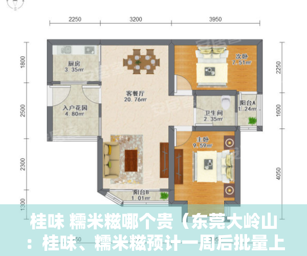 桂味 糯米糍哪个贵（东莞大岭山：桂味、糯米糍预计一周后批量上市）