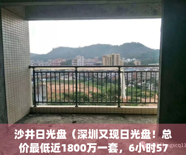 沙井日光盘（深圳又现日光盘！总价最低近1800万一套，6小时57亿售罄）(沙井看日落)