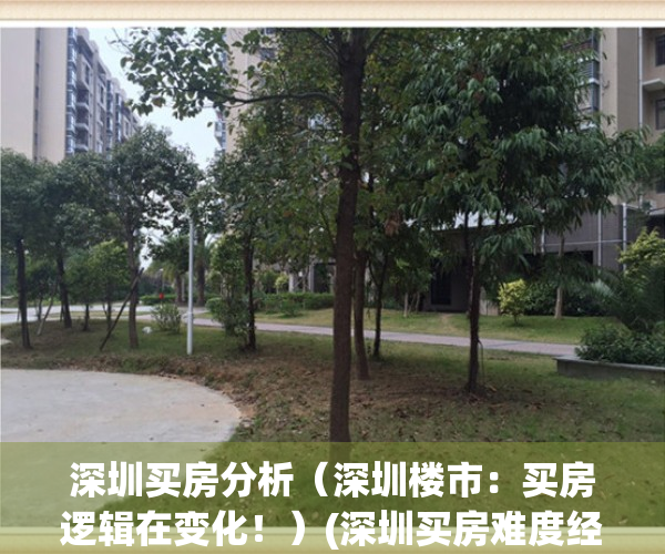 深圳买房分析（深圳楼市：买房逻辑在变化！）(深圳买房难度经历)