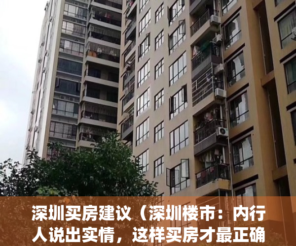 深圳买房建议（深圳楼市：内行人说出实情，这样买房才最正确）(深圳买房投资建议)